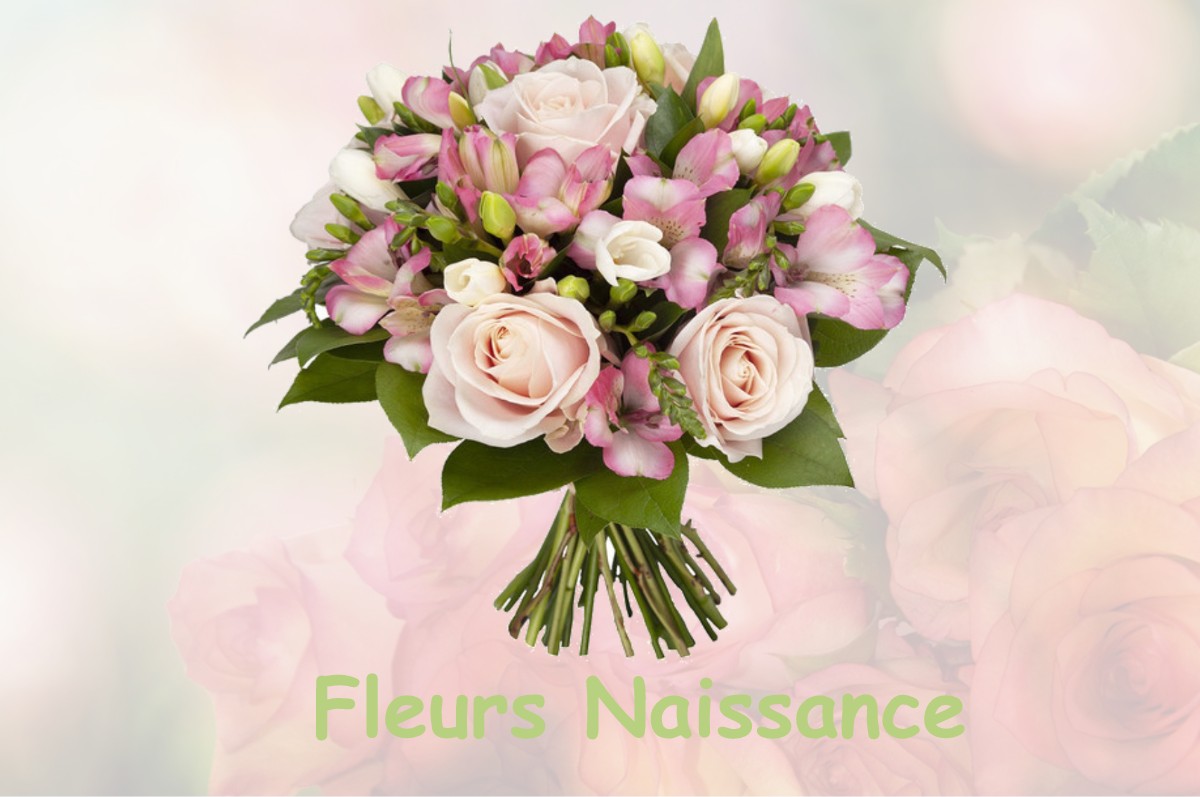 fleurs naissance ROGNONAS